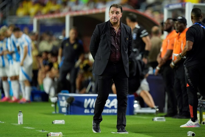 El argentino Néstor Lorenzo, entrenador de Colombia, destacó el trabajo de su equipo en la Copa América pero también lanzó una crítica para la Selección Argentina. Foto: AP Photo/Rebecca Blackwell.