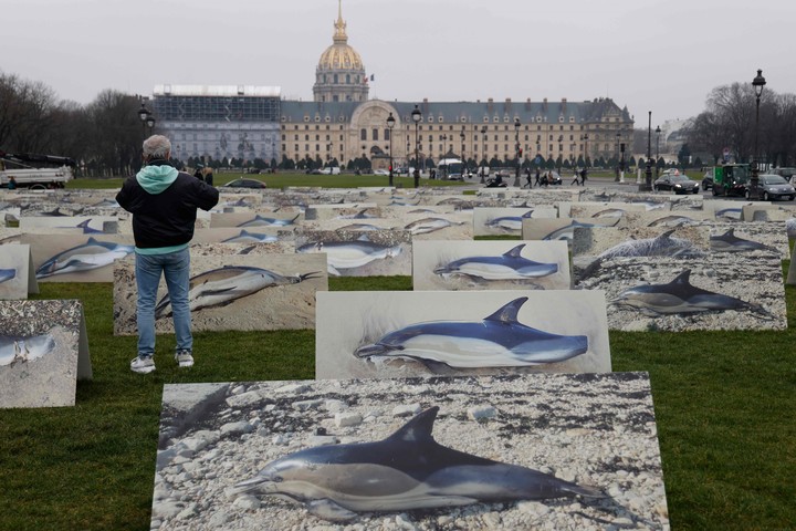 Una muestra artística en la Esplanade des Invalides. Foto: archivo.