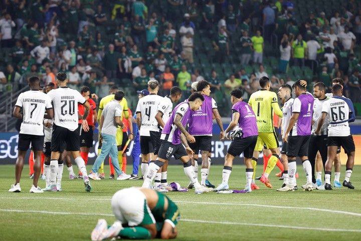 Botafogo estuvo a punto de perder una serie increíble. Foto: EFE / Sebastiao Moreira.