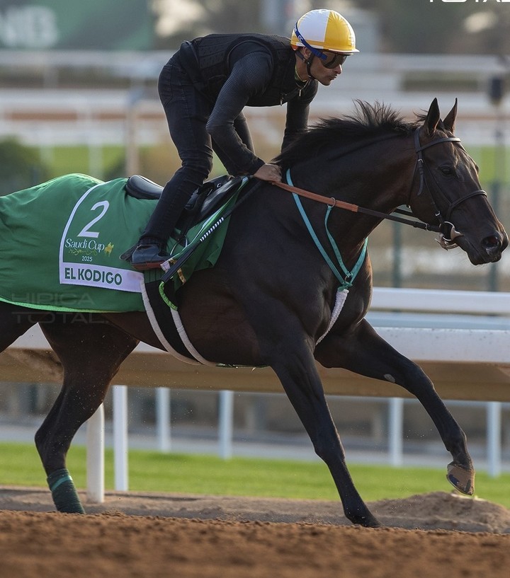 El Kódigo, el caballo argentino que promete dar pelea en la Saudi Cup.